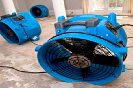 environmental-mold-abatement-insurance environmental mold abatement